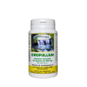 Idropsillium - Bionatural