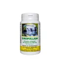 Idropsillium - Bionatural